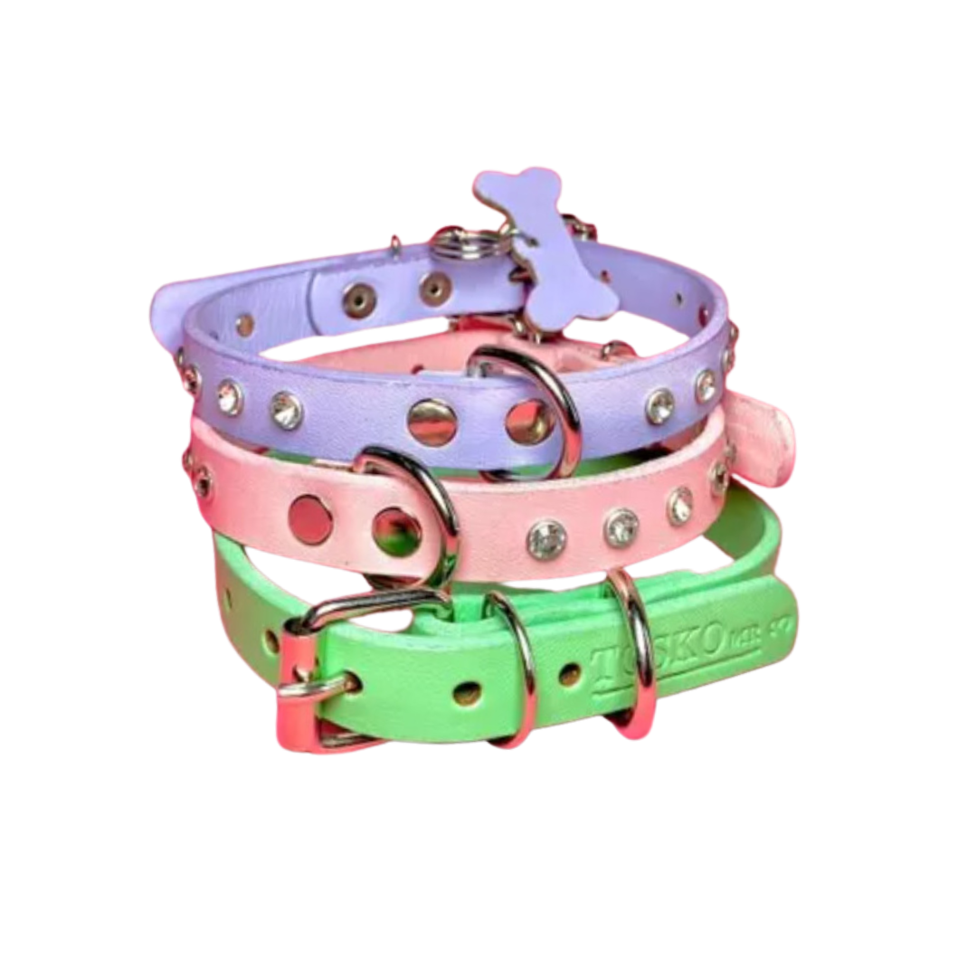 TOSKO Collar de piel GRUESO de colores con hebilla en acero inoxidable