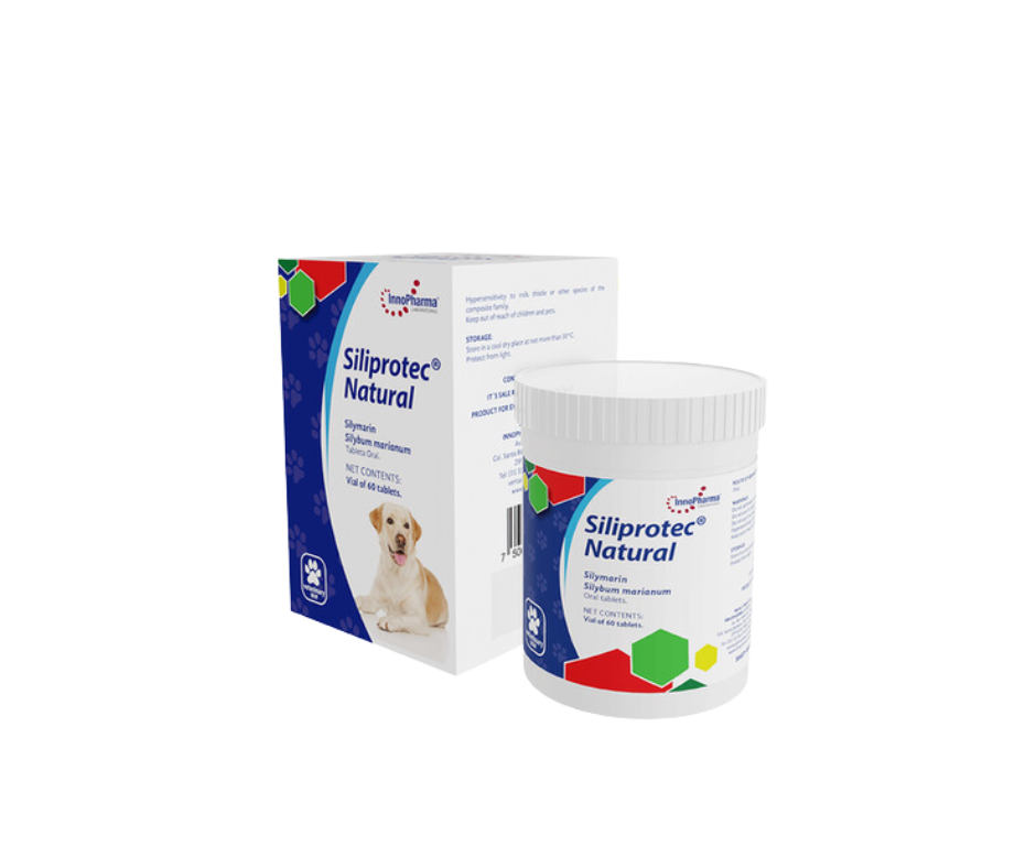 Siliprotec Natural 60 Tabletas