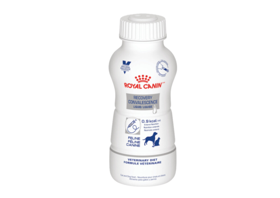 Royal Canin Veterinarian Diet - Recovery Convalescence Liquid (4 pack