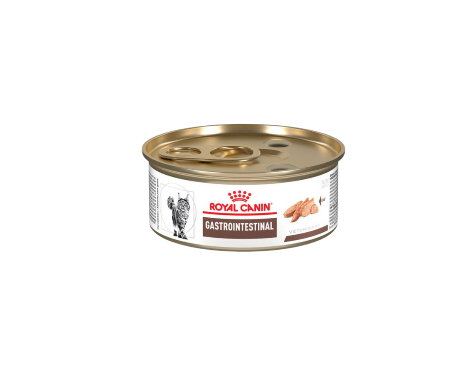 Royal Canin Felino Gastro-Intestinal High Energy - Cani Delights