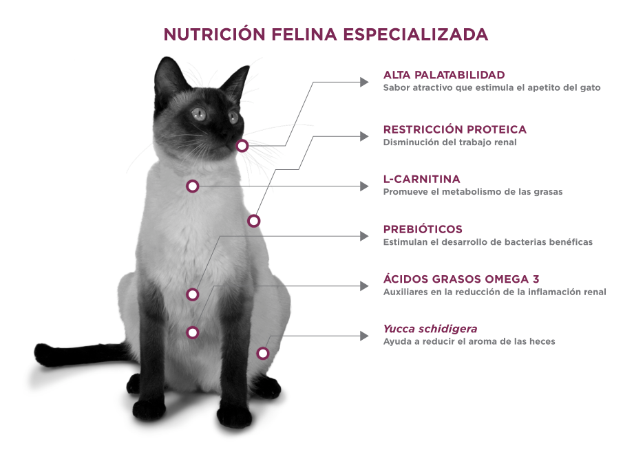Nupec Renal Care Felino