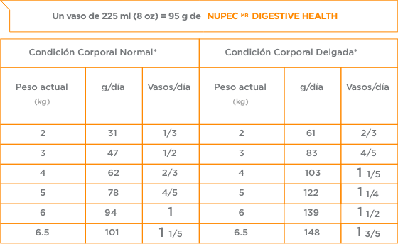 Nupec Digestive Health Felino