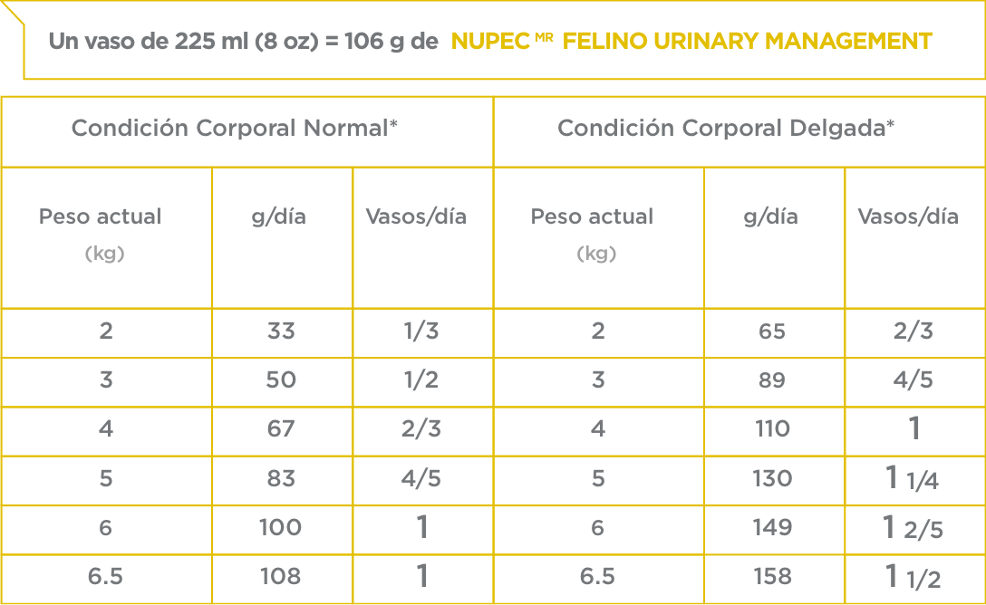 Nupec Urinary Managament Felino