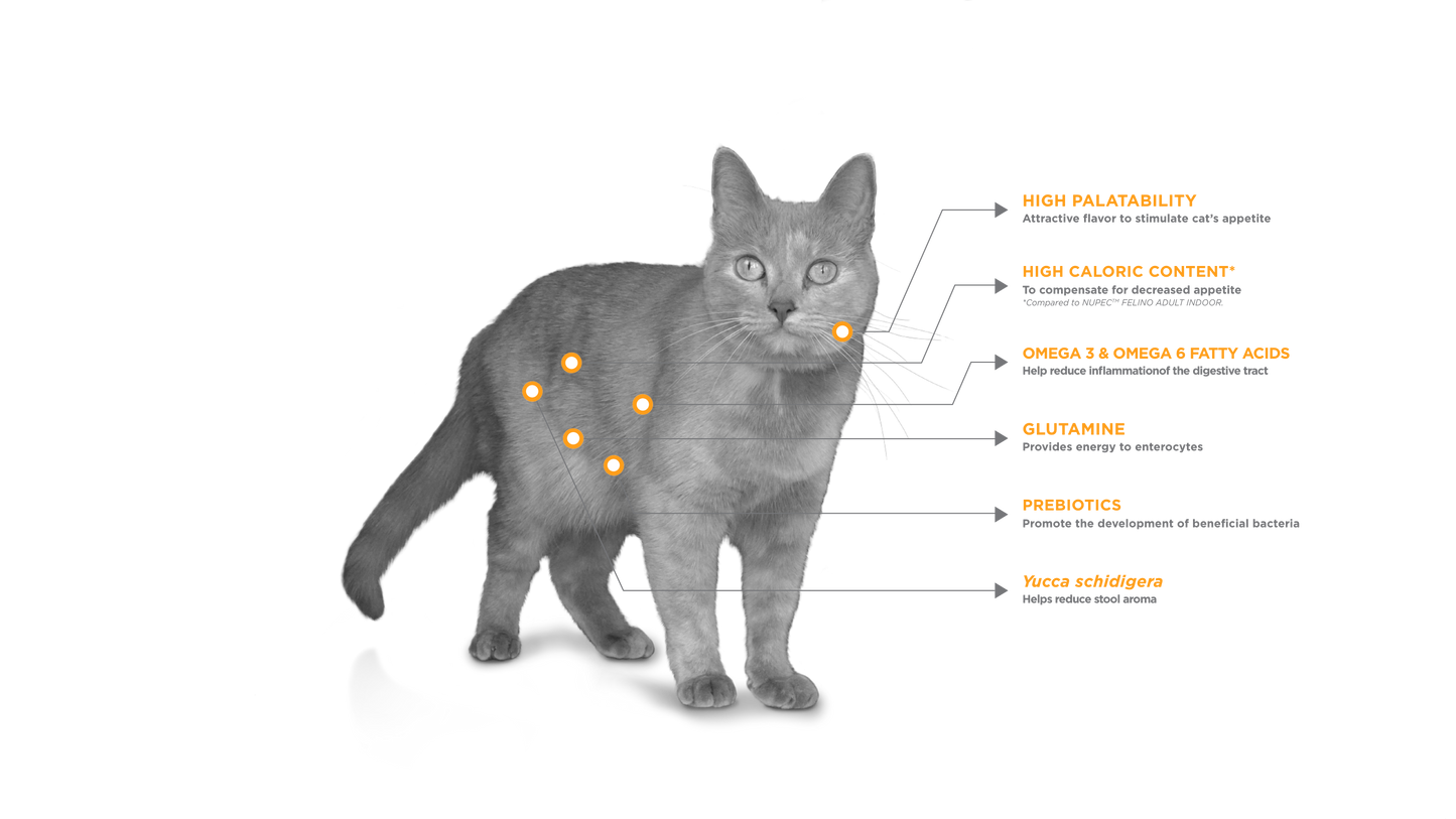 Nupec Digestive Health Felino