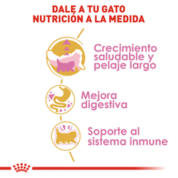 Royal Canin Felino Persian Kitten - Cani Delights
