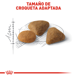 Royal Canin Felino Selective Savor Sensation - Cani Delights
