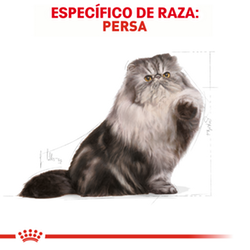 Royal Canin Felino Persian Adulto - Cani Delights