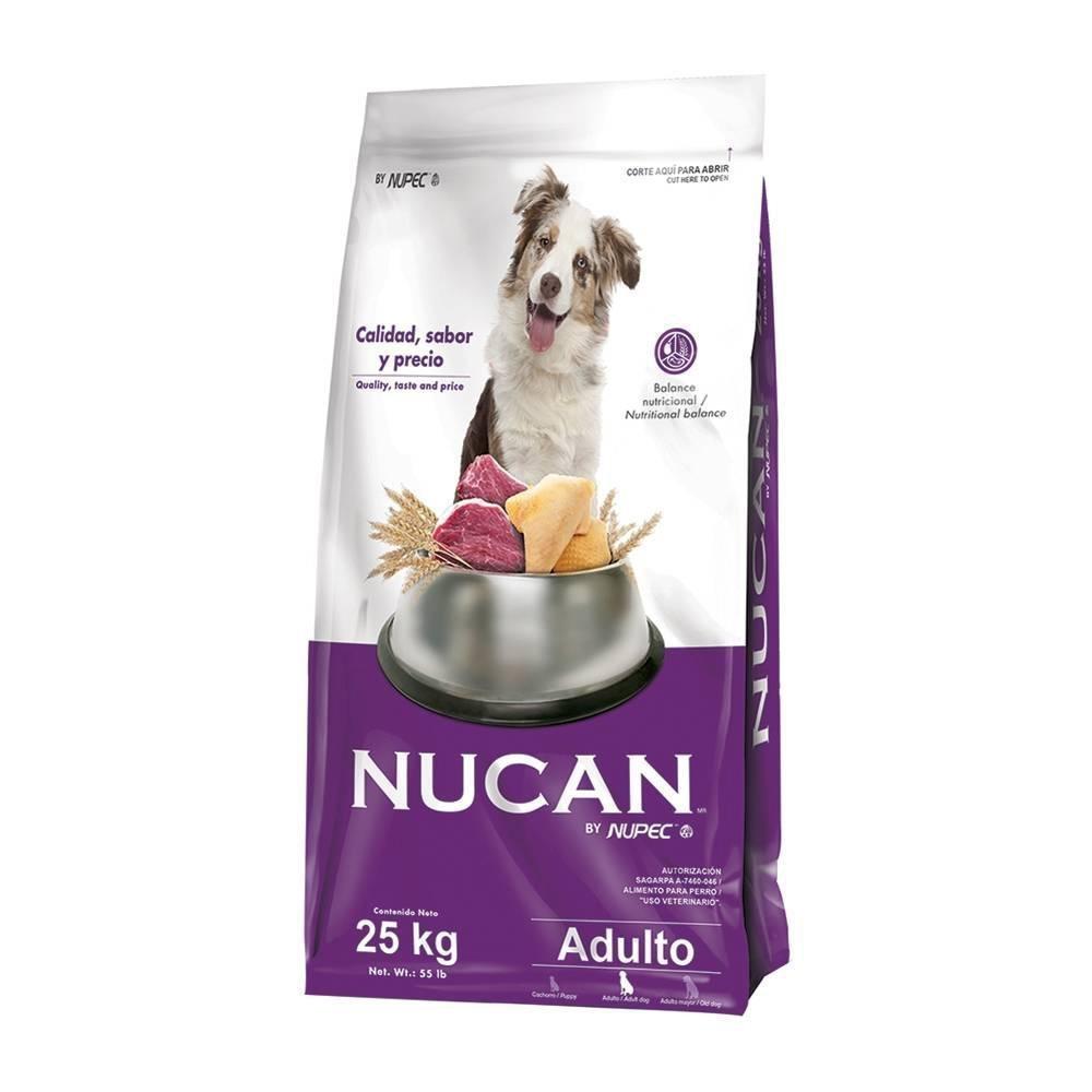 Nucan adulto