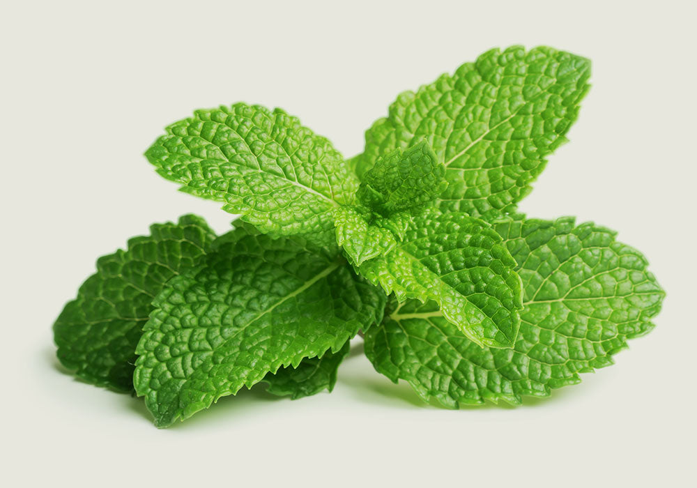 Tricks & Treats (Galletas para caninos y felinos) Aliento Fresco