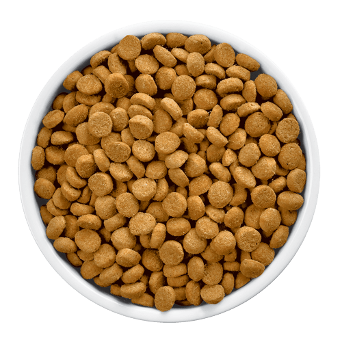 Hill´s w/d multicare Felino - Cani Delights