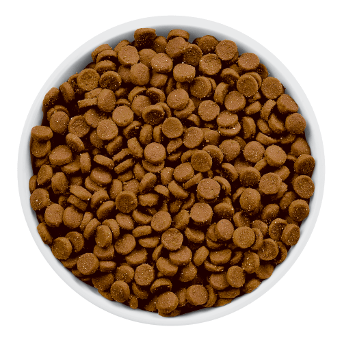 Hill´s i/d Felino - Cani Delights