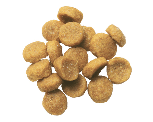 Hill´s r/d Felino - Cani Delights