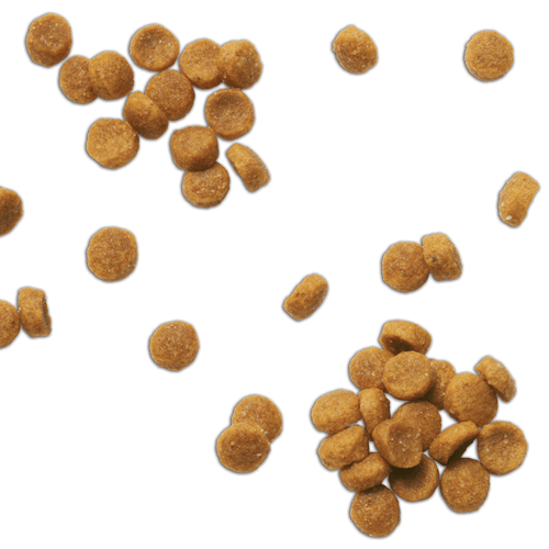 Hill´s c/d Multicare Felino - Cani Delights