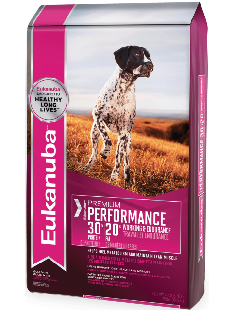 Eukanuba Premium Performance