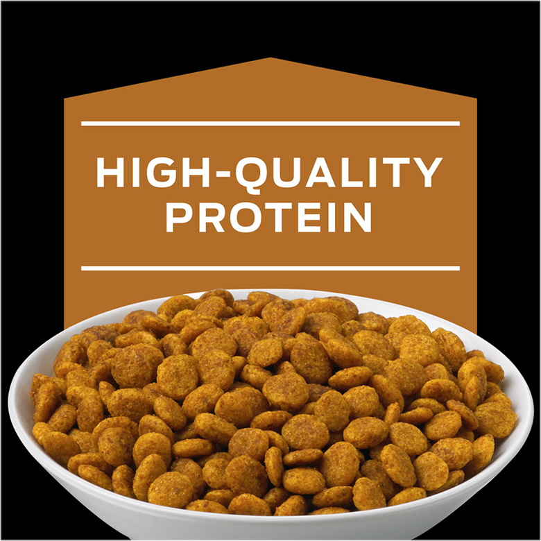 Proplan Veterinaria NF early care felino - Cani Delights