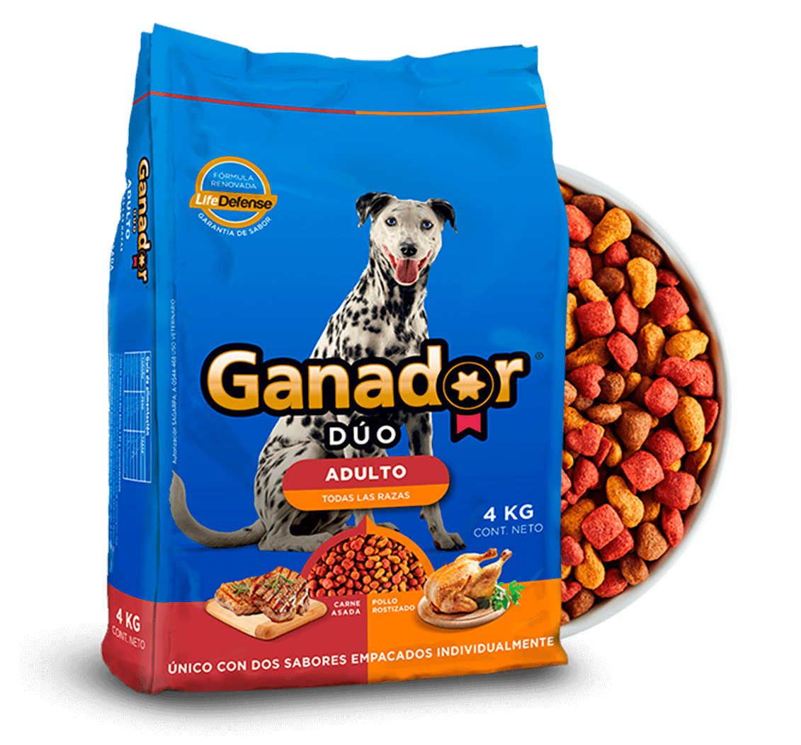 Ganador Dúo Adulto Todas las razas