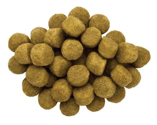 Hill´s Veterinaria h/d canino - Cani Delights