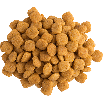 Proplan Veterinaria N/F Advance Care - Cani Delights