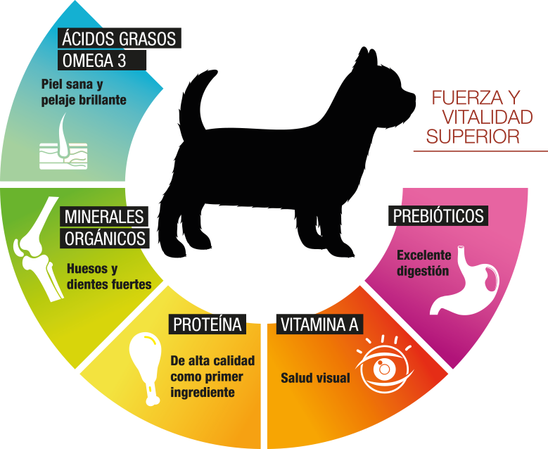 Perfect Sense adulto raza chica - Cani Delights