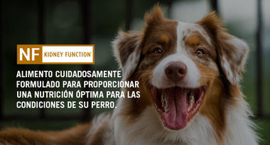 Proplan Veterinaria NF lata canino - Cani Delights