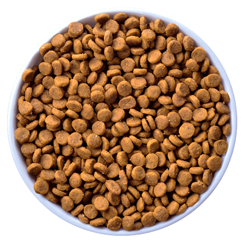 Hill´s Veterinaria k/d Felino - Cani Delights