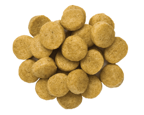 Hill´s Veterinaria u/d canino - Cani Delights