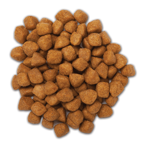 Hill´s Metabolic Felino - Cani Delights