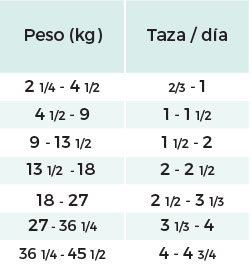 Diamond Mantenimiento