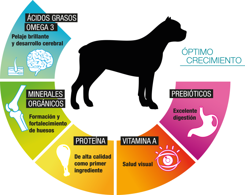 Perfect Sense cachorro raza mediana y grande - Cani Delights