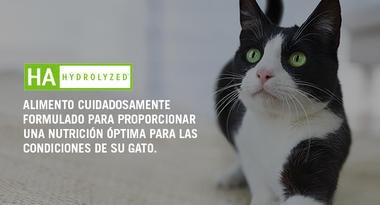 Proplan Veterinaria HA felino - Cani Delights