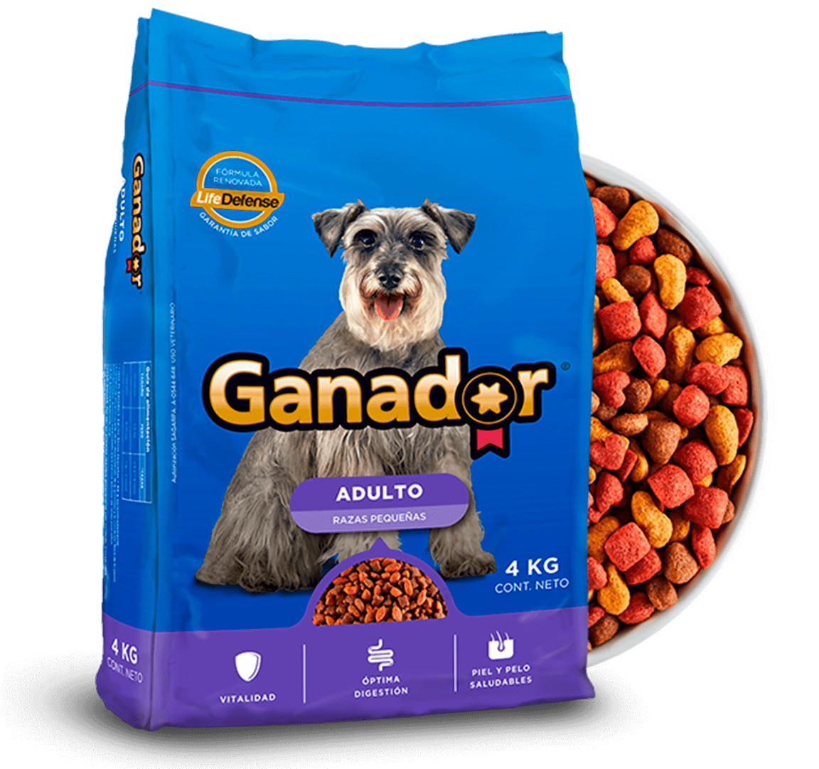 Ganador Adulto Razas Pequeñas