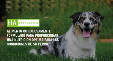 Proplan Veterinaria HA canino - Cani Delights