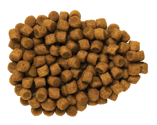 Hill´s s/d Felino - Cani Delights