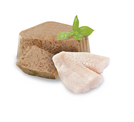 Nupec Digestive alimento húmedo