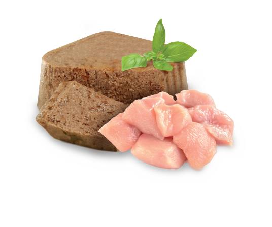 Nupec Cachorro alimento húmedo