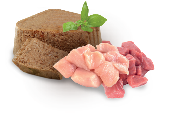 Nupec Weight Control alimento húmedo