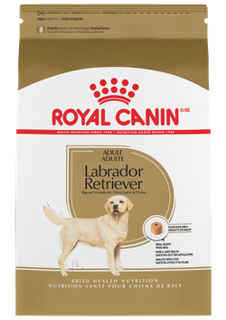 Royal Canin Labrador Adulto - Cani Delights