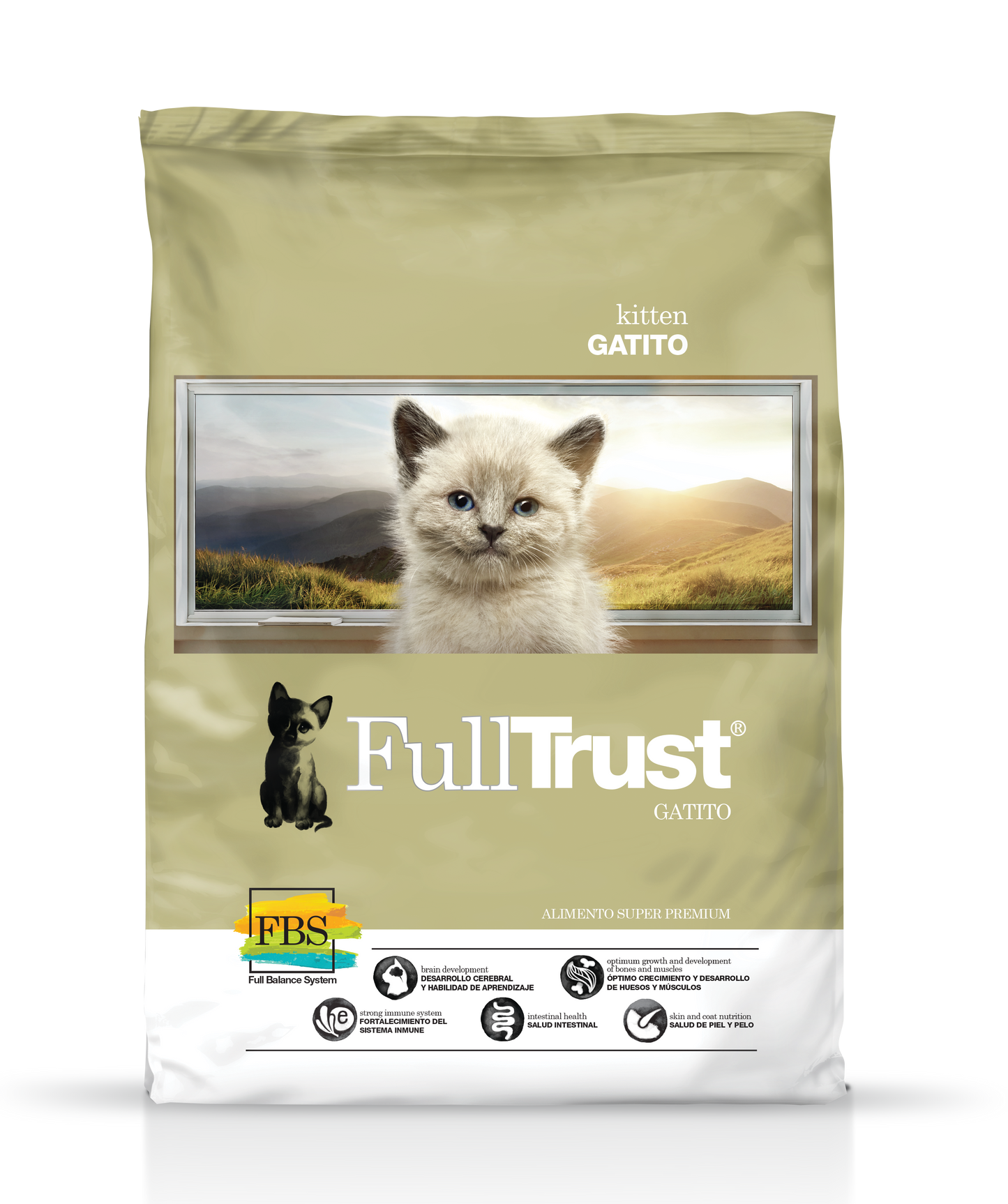 Full trust kitten felino