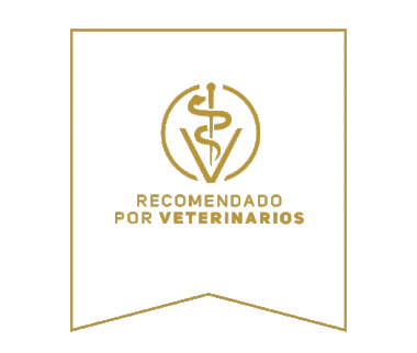 Proplan pouch Adulto carne