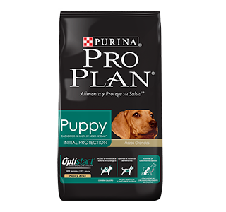 Proplan cachorro raza grande - Cani Delights