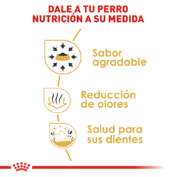 Royal Canin Chihuahua Adulto - Cani Delights