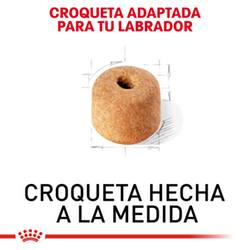 Royal Canin Labrador Adulto - Cani Delights