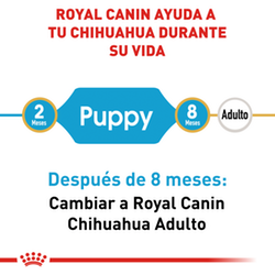 Royal Canin Chihuahua Puppy - Cani Delights
