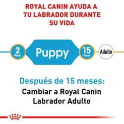 Royal Canin Labrador Puppy - Cani Delights