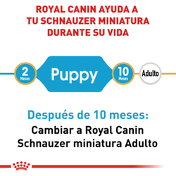 Royal Canin Mini Schnauzer Puppy - Cani Delights