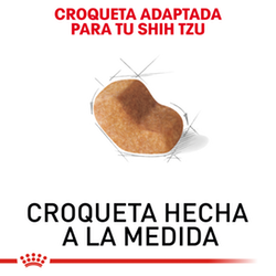 Royal Canin Shih Tzu Adulto - Cani Delights