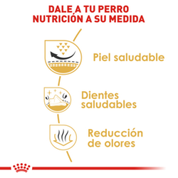 Royal Canin Shih Tzu Adulto - Cani Delights