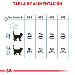 Royal Canin Felino Indoor Intense Hairball - Cani Delights
