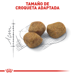 Royal Canin Felino Adult Fit - Cani Delights