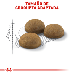 Royal Canin Felino Indoor Adulto - Cani Delights